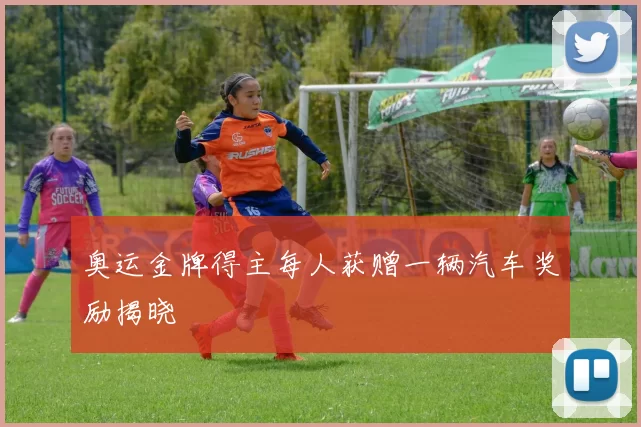 奥运金牌得主每人获赠一辆汽车奖励揭晓