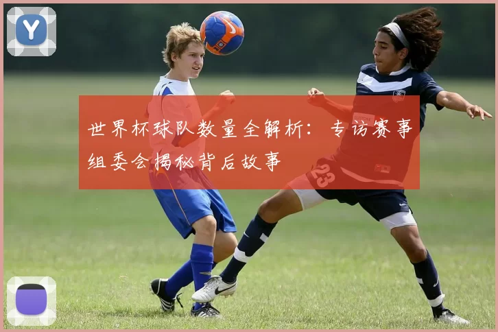世界杯球队数量全解析：专访赛事组委会揭秘背后故事