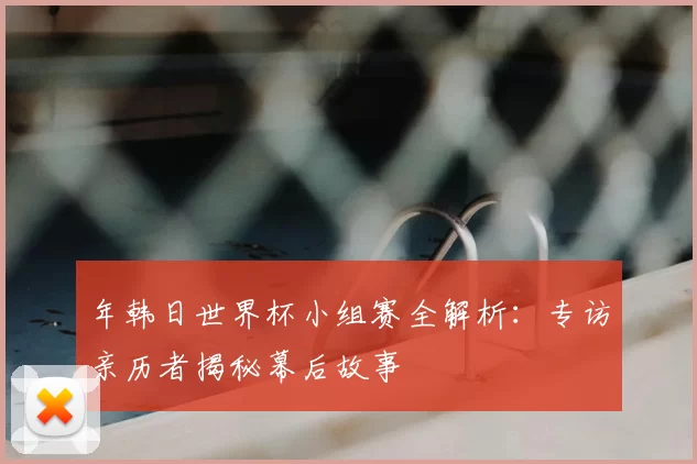年韩日世界杯小组赛全解析：专访亲历者揭秘幕后故事