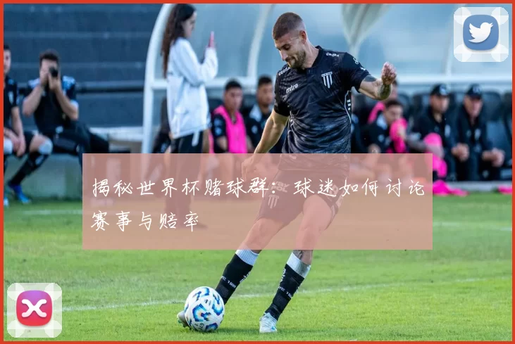 揭秘世界杯赌球群：球迷如何讨论赛事与赔率
