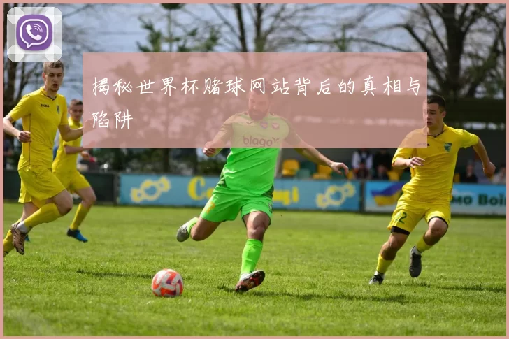 揭秘世界杯赌球网站背后的真相与陷阱