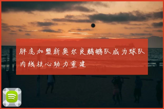 胖虎加盟新奥尔良鹈鹕队成为球队内线核心助力重建