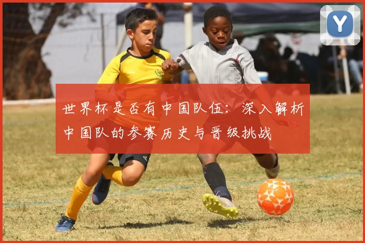 世界杯是否有中国队伍：深入解析中国队的参赛历史与晋级挑战