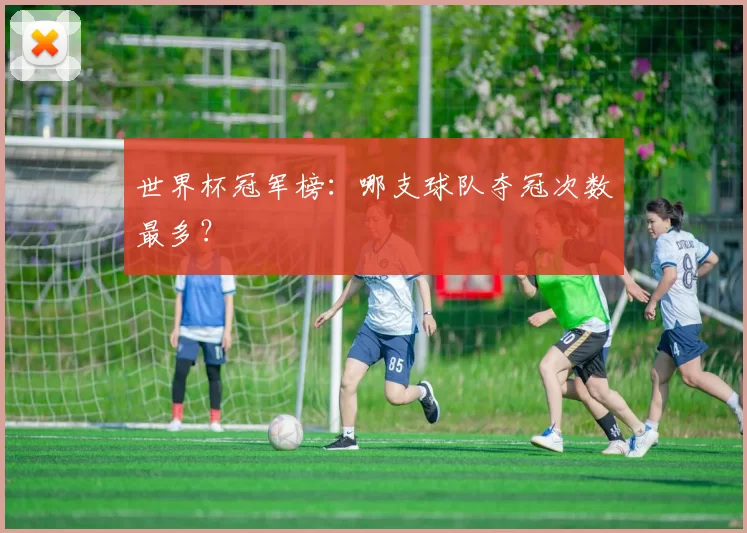 世界杯冠军榜：哪支球队夺冠次数最多？