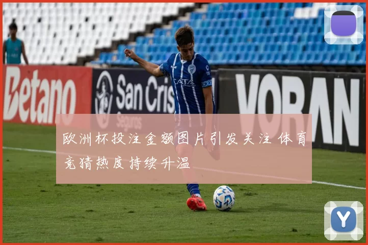 欧洲杯投注金额图片引发关注 体育竞猜热度持续升温