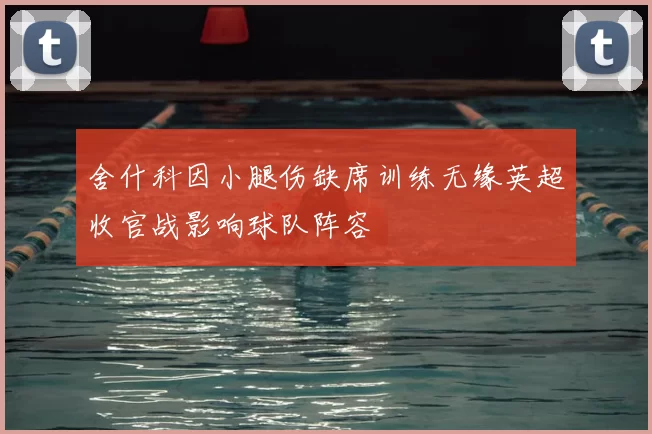 舍什科因小腿伤缺席训练无缘英超收官战影响球队阵容