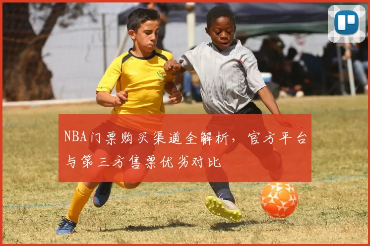 NBA门票购买渠道全解析，官方平台与第三方售票优劣对比