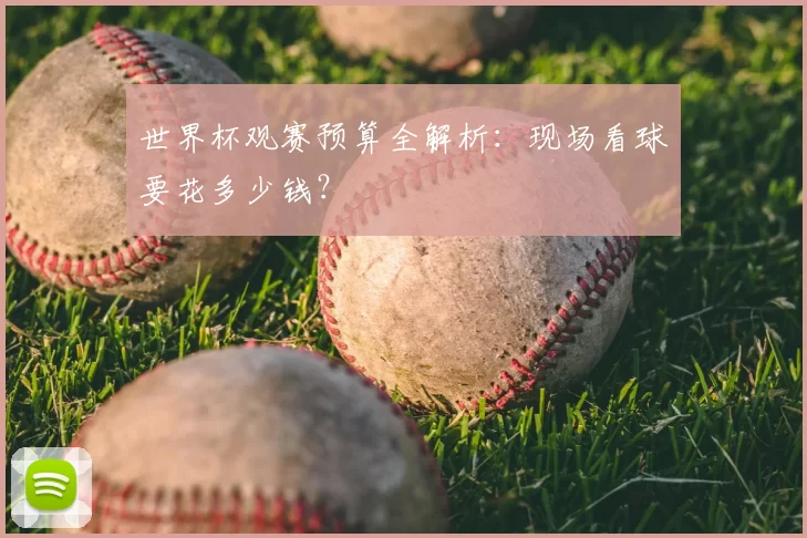 世界杯观赛预算全解析：现场看球要花多少钱？