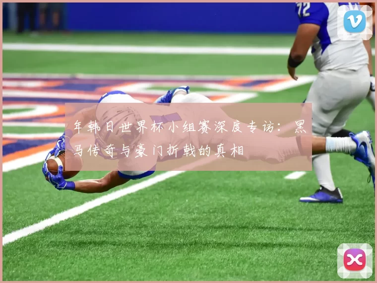 年韩日世界杯小组赛深度专访：黑马传奇与豪门折戟的真相