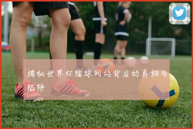 揭秘世界杯赌球网站背后的真相与陷阱