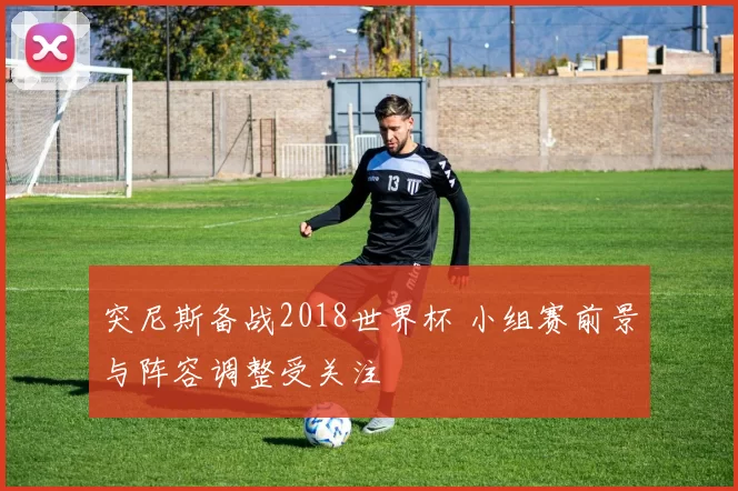 突尼斯备战2018世界杯 小组赛前景与阵容调整受关注