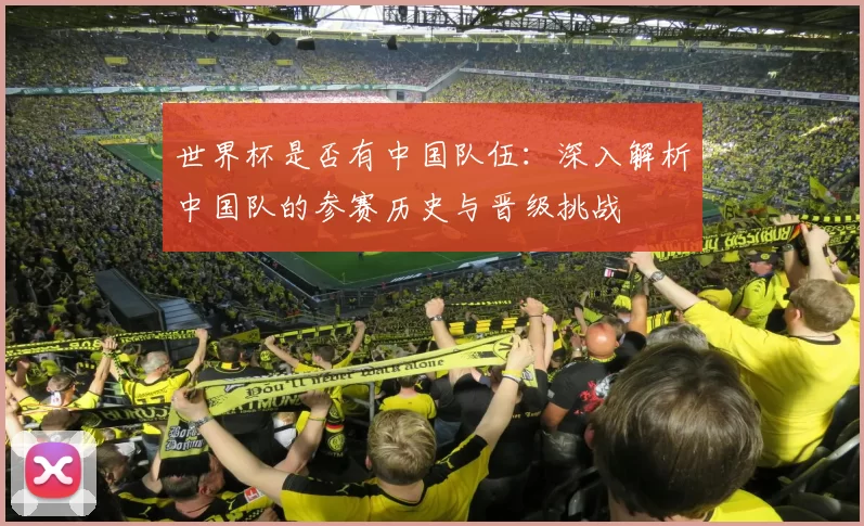 世界杯是否有中国队伍：深入解析中国队的参赛历史与晋级挑战