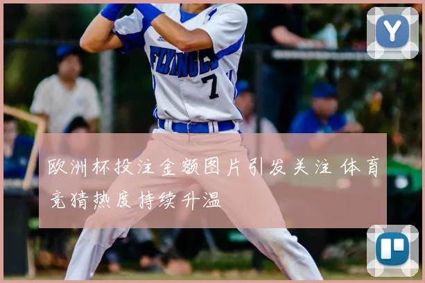 欧洲杯投注金额图片引发关注 体育竞猜热度持续升温