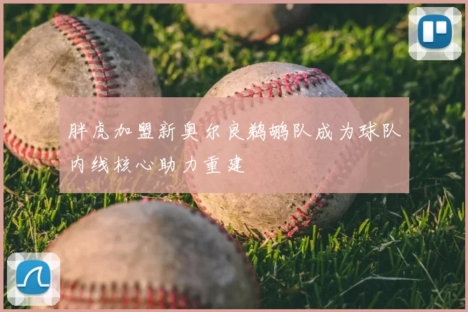 胖虎加盟新奥尔良鹈鹕队成为球队内线核心助力重建
